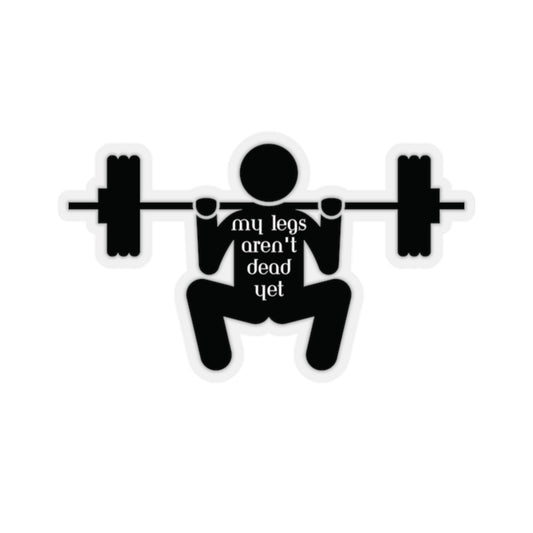Gym weights sticker, laptop stickers, funny stickers, sarcasm laptop decals, water bottle sticker, gym sticker, workout Stickers - Premium Paper products for  Just $6.89! Shop now at Crunchin' Time
